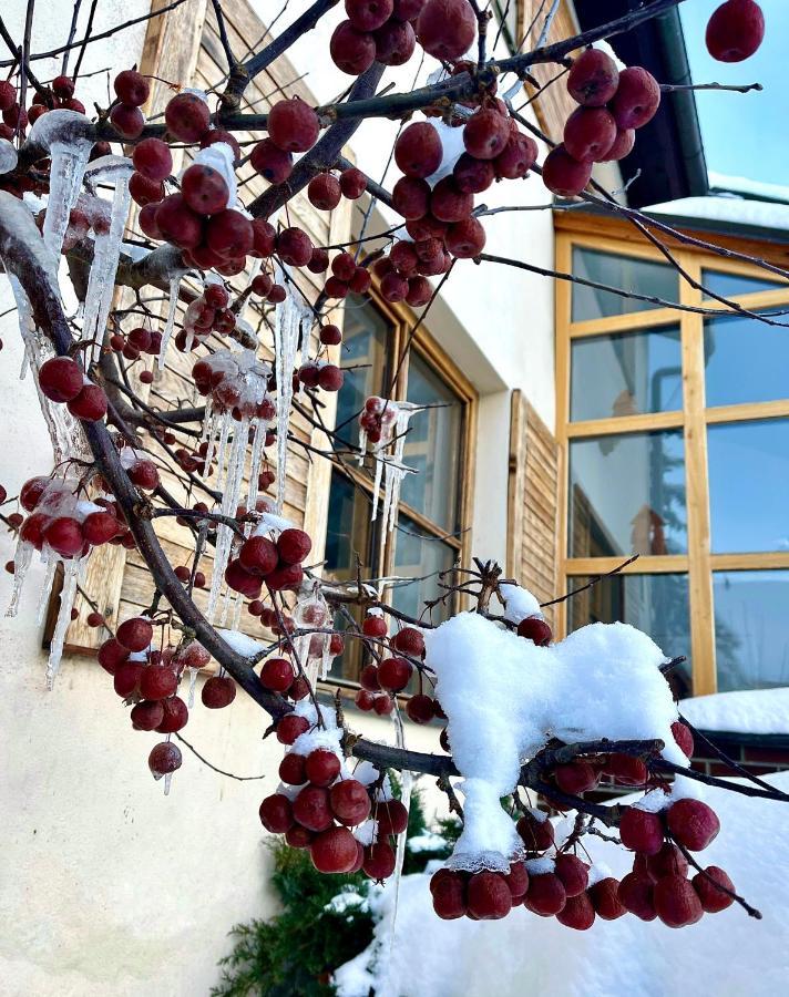 Hotel Stary Mlyn Jeseník Dış mekan fotoğraf