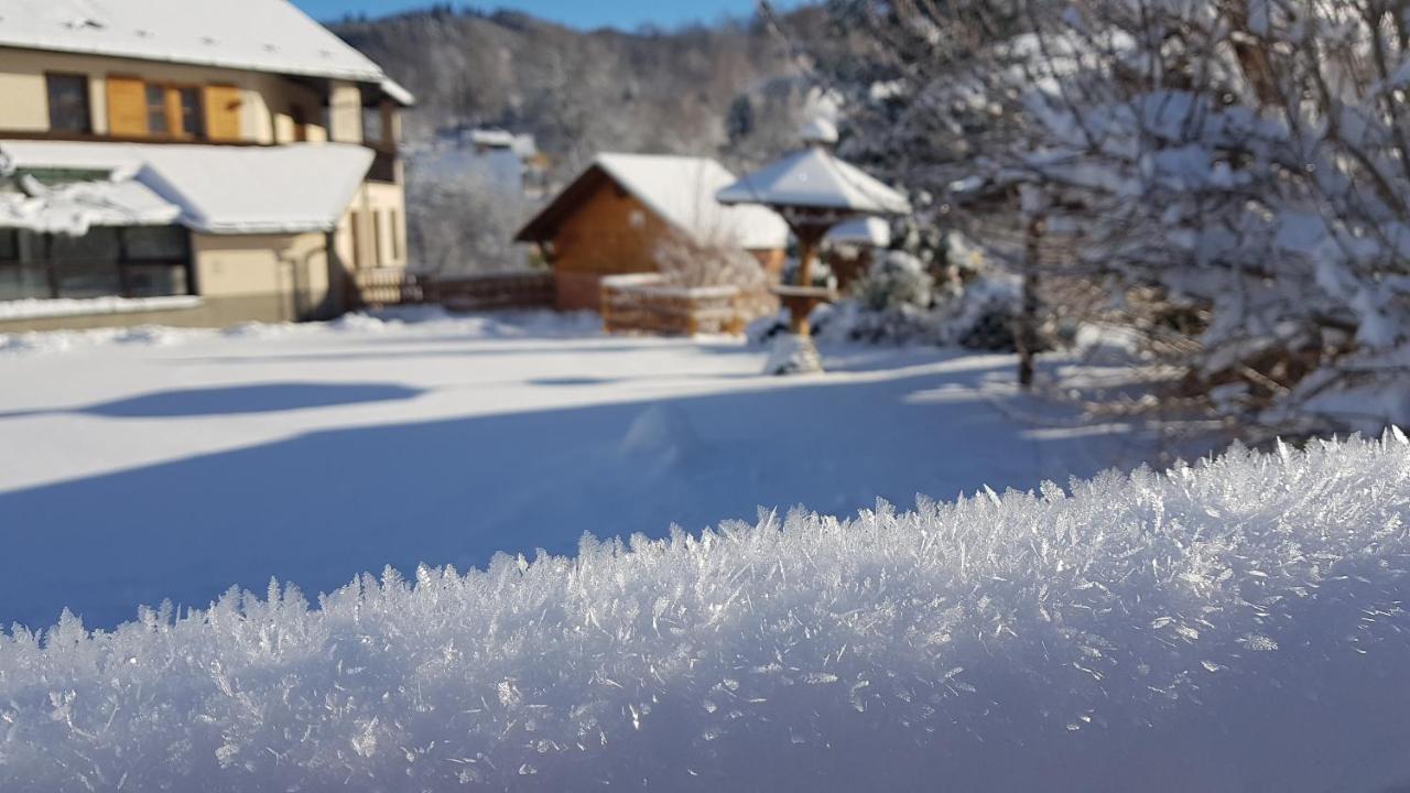 Hotel Stary Mlyn Jeseník Dış mekan fotoğraf